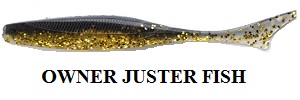 Owner Juster Fish