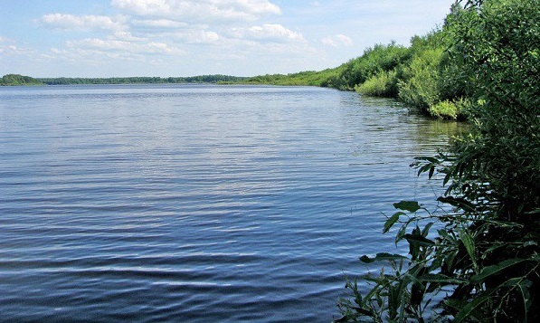 Рыбалка в Вологодской области