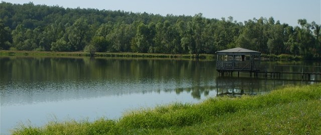 Платная рыбалка в Ульяновской области