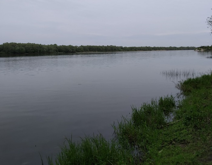 Рыбалка на Оке в Московской области