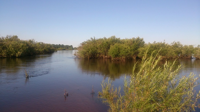 Рыбалка на реке Томь в Амурской области