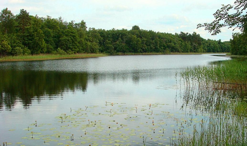 Рыбалка озеро Каменное в Псковской области