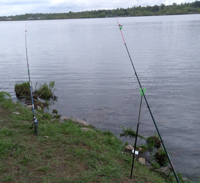 Рыбалка река Волга Ивановская область