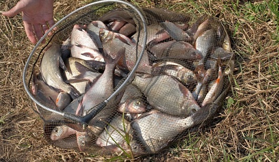 Рыбалка в Лысково Нижегородской области