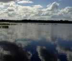 Боровое озеро (Пензенская область) – место для рыбака