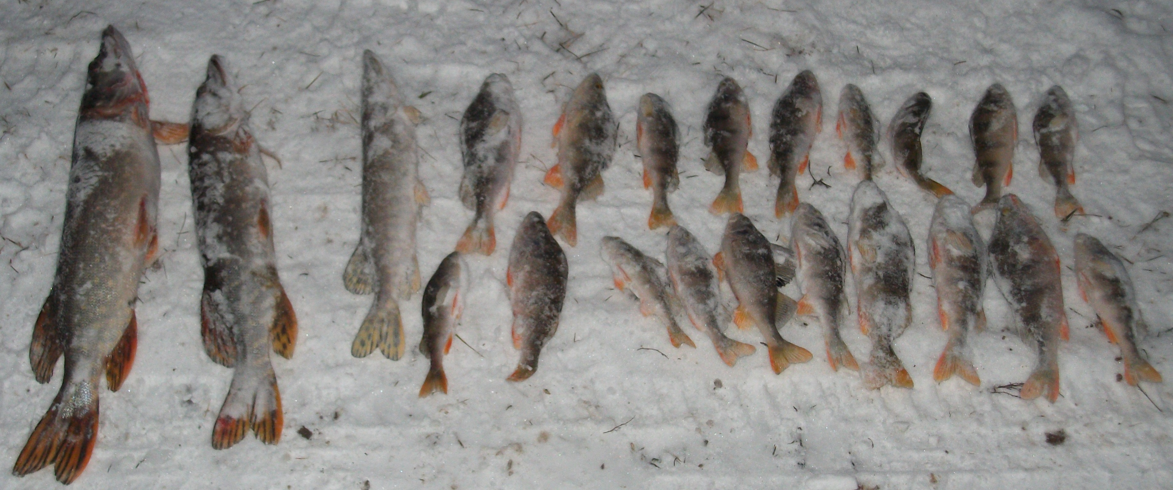 Рыбалка в феврале