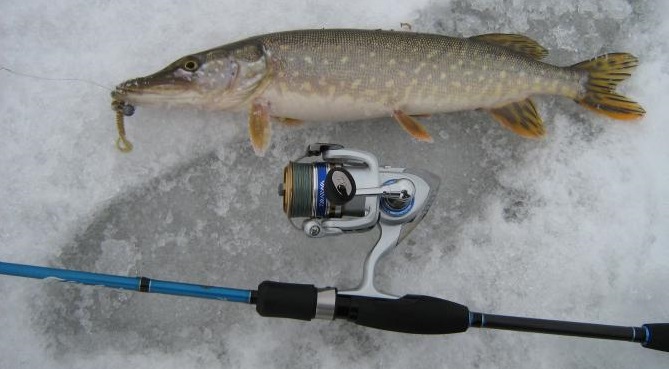 Зимняя рыбалка на щуку