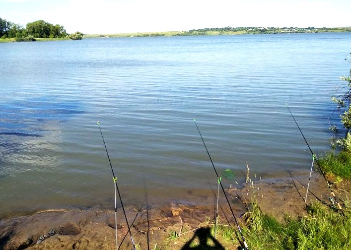 Места для рыбалки в Рязанской области
