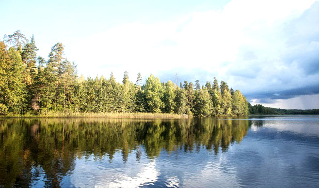 Озеро лесное в Приозерске Ленинградской области