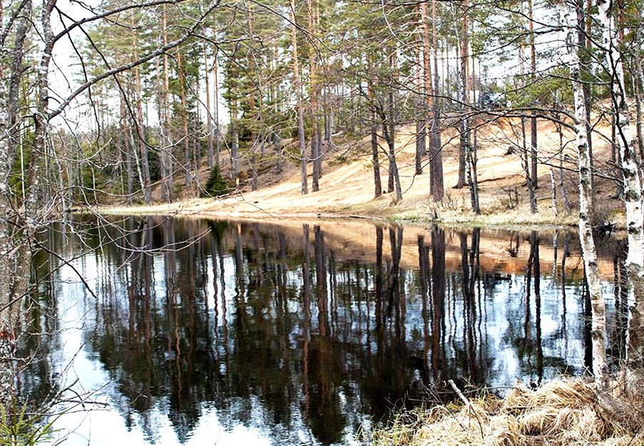 Озеро Щучье В Ленинградской области