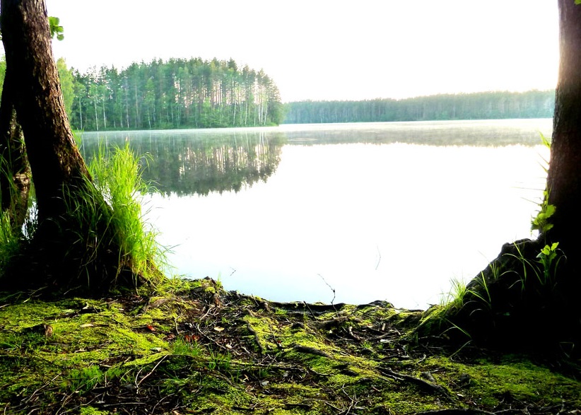 Озеро затейливое Ленинградская область