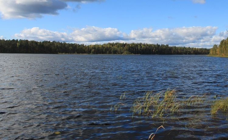 Рыбалка на Белом озере Вологодской области