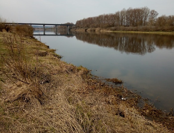 липецкая область рыбалка река дон