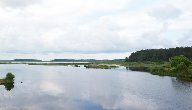 Рыбалка на озере Великое в Рязанской области