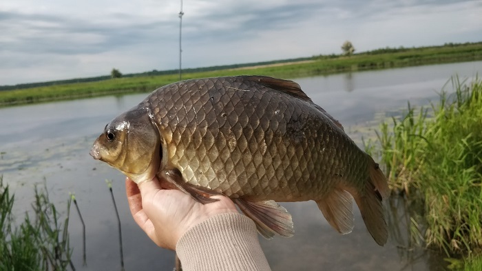 Рыбалка на реках Калининградской области