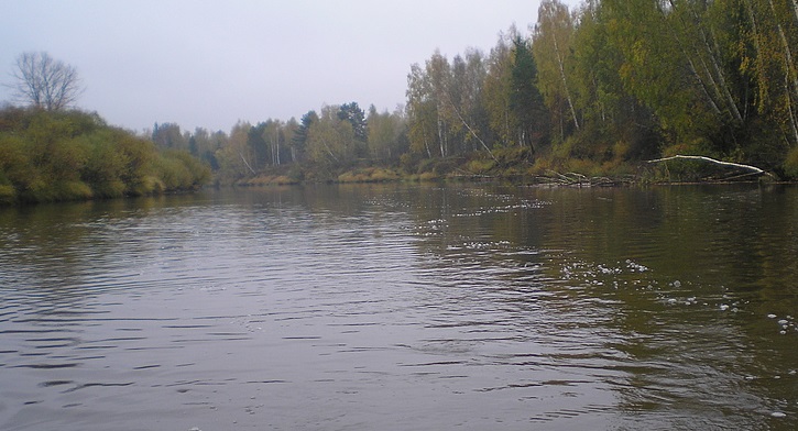 Рыбалка на реке Немда в Костромской области 