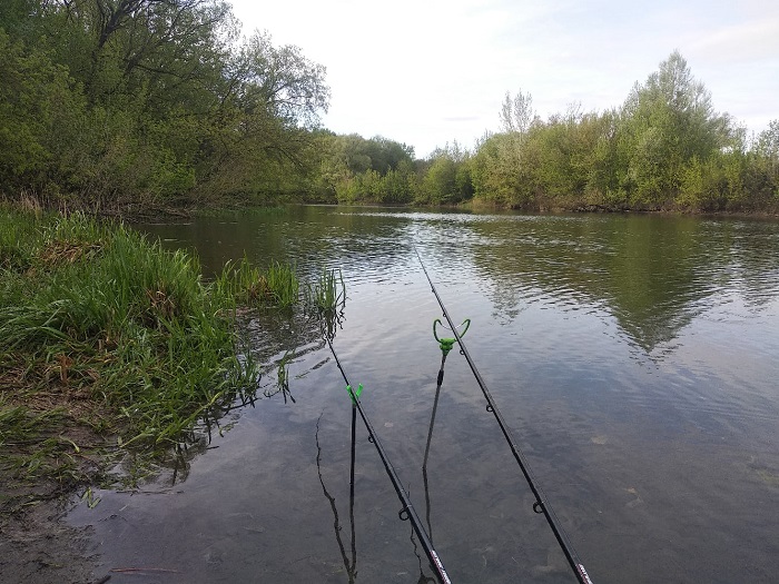Рыбалка на реке Сейм в Курской области