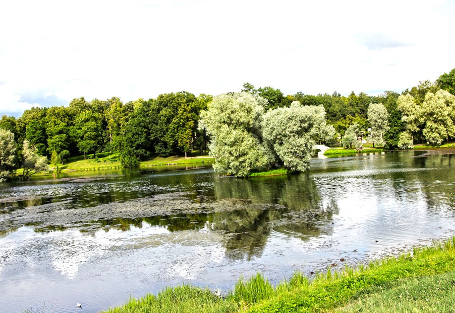 Рыбалка озеро Белое Ленинградская область