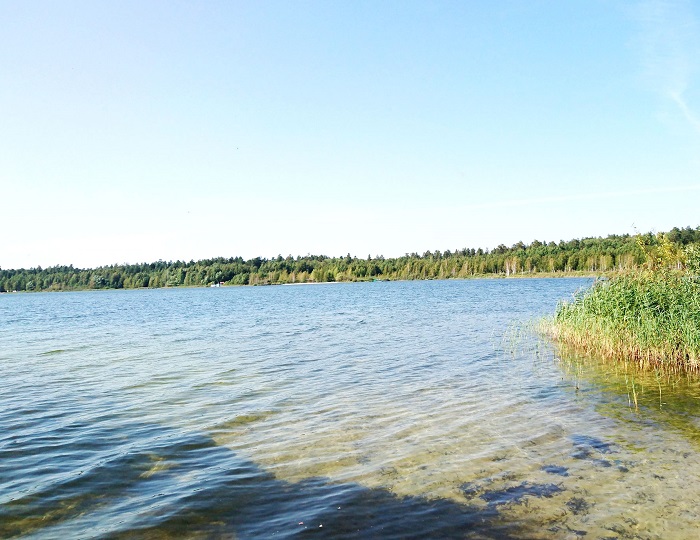 Рыбалка озеро Белое Пензенская область