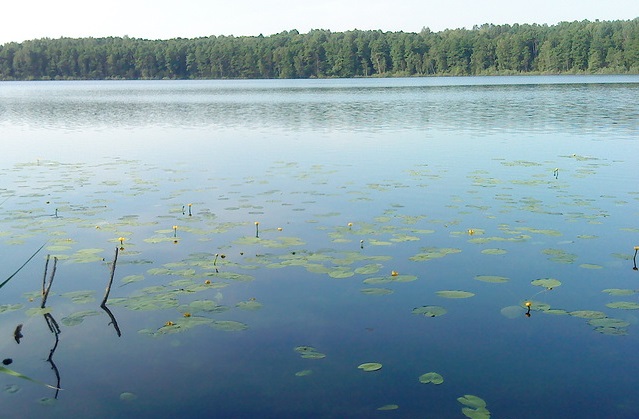 Рыбалка озеро Бездон в Калужской области