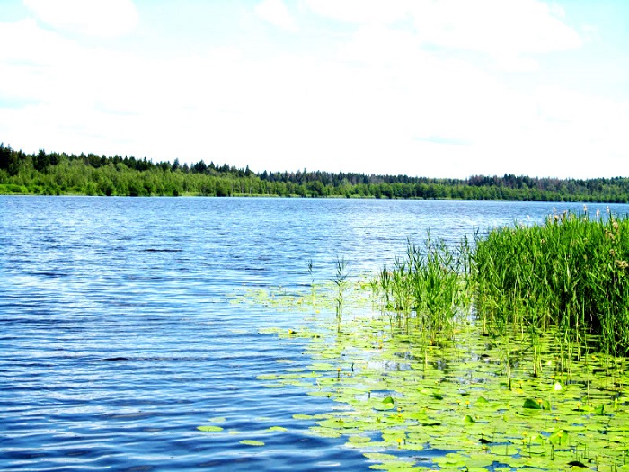Рыбалка озеро Долгое Челябинская область