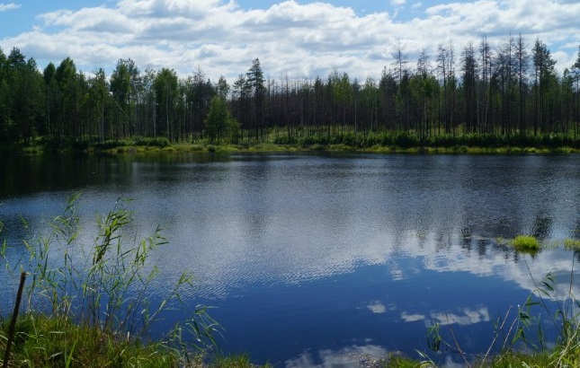 Рыбалка озеро Хохлово в Костромской области
