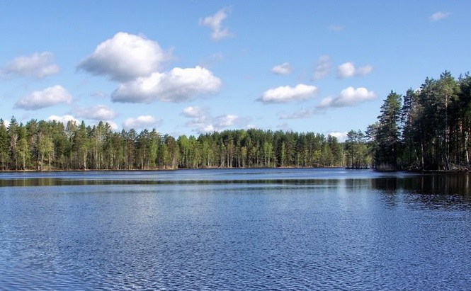 Рыбалка озеро Затейливое в Ленинградской области