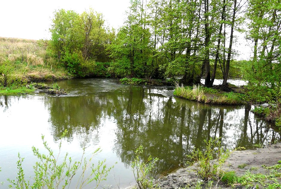 Рыбалка река Уса Самарская область