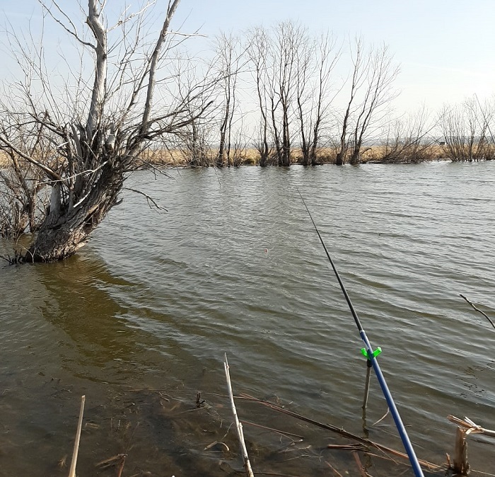 Рыбалка в Надеждино Омской области