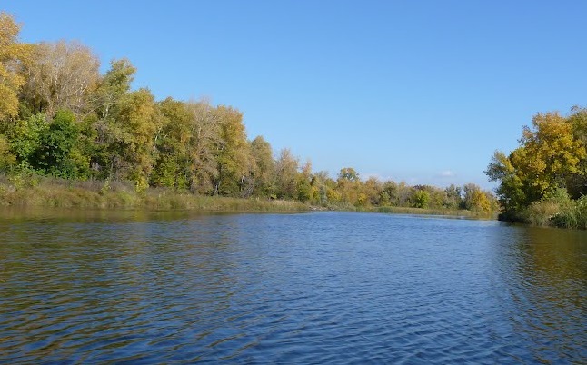 Рыбалка в Усовке Саратовской области